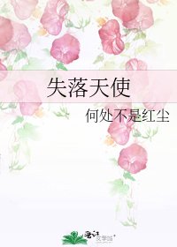《失落天使》