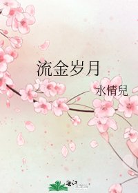 《流金岁月》