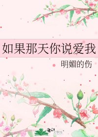 《如果那天你说爱我》