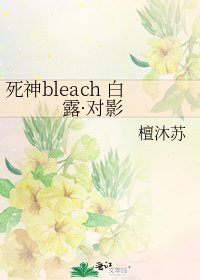 死神bleach 白露·对影