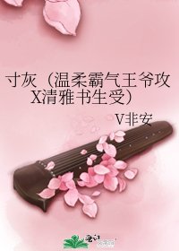 《寸灰(温柔霸气王爷攻X清雅书生受)》