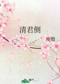 《清君侧》