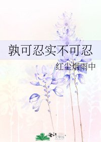 孰可忍實不可忍