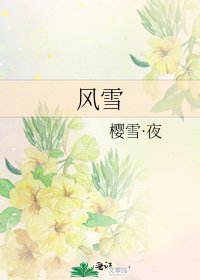 《风雪》