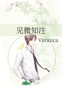 《见微知注》
