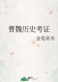 曹魏历史考证