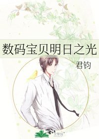 数码宝贝明日之光