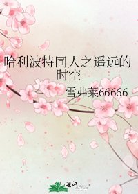 《哈利波特同人之遥远的时空》