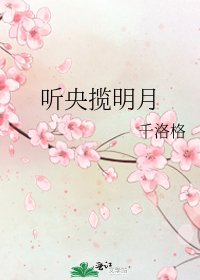 听央揽明月