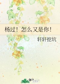 杨过!怎么又是你!