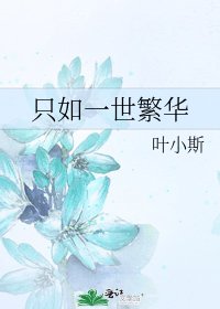 《只如一世繁华》