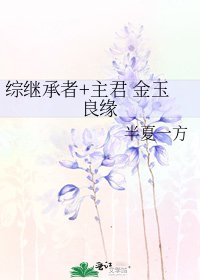 《综继承者+主君 金玉良缘》
