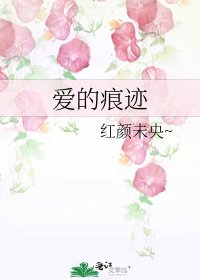 《爱的痕迹》