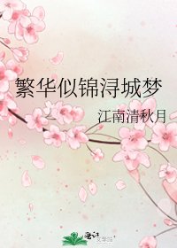 《繁华似锦浔城梦》