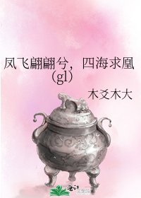 《凤飞翩翩兮,四海求凰(gl)》