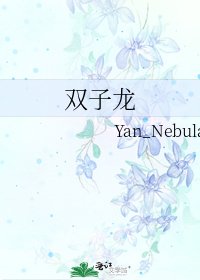 双子龙
