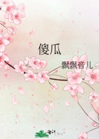 傻瓜