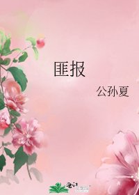 匪报