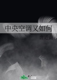 《中央空调又如何》