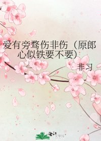 爱有旁骛伤非伤（原郎心似铁要不要）
