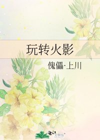 《玩转火影》