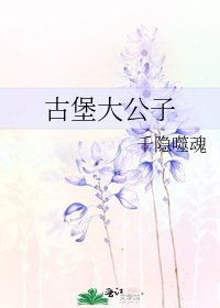 《古堡大公子》