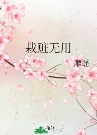 《栽赃无用》