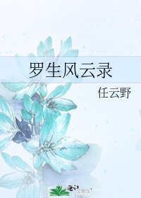 罗生风云录