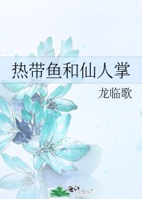 热带鱼和仙人掌