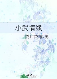 小武情缘