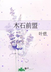 《木石前盟》