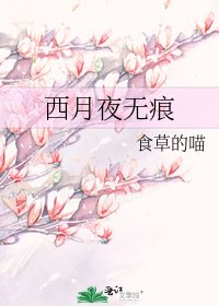 《西月夜无痕》