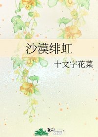 沙漠绯虹