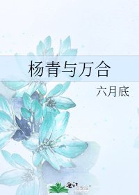 《杨青与万合》