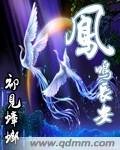 凤鸣长安
