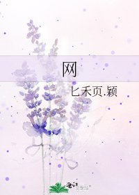 《网》