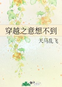 《穿越之意想不到》