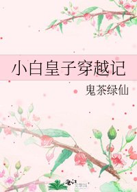 《小白皇子穿越记》