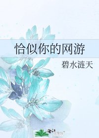 恰似你的网游