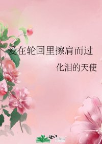 《爱在轮回里擦肩而过》