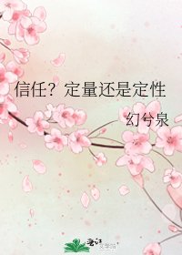 信任?定量还是定型