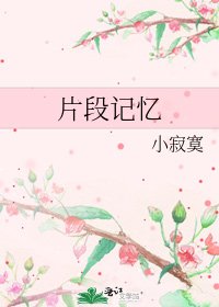 片段记忆