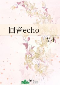 回音echo