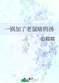 《一锅加了老鼠啥的汤》