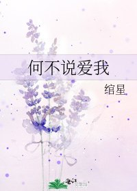 何不说爱我