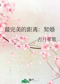 《最完美的距离:契婚》