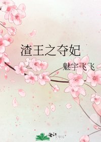 《渣王之夺妃》