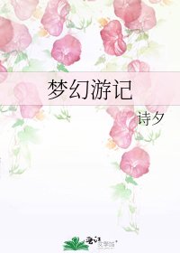 《梦幻游记》