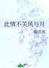 《此情不关风与月》