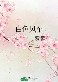 《白色风车》